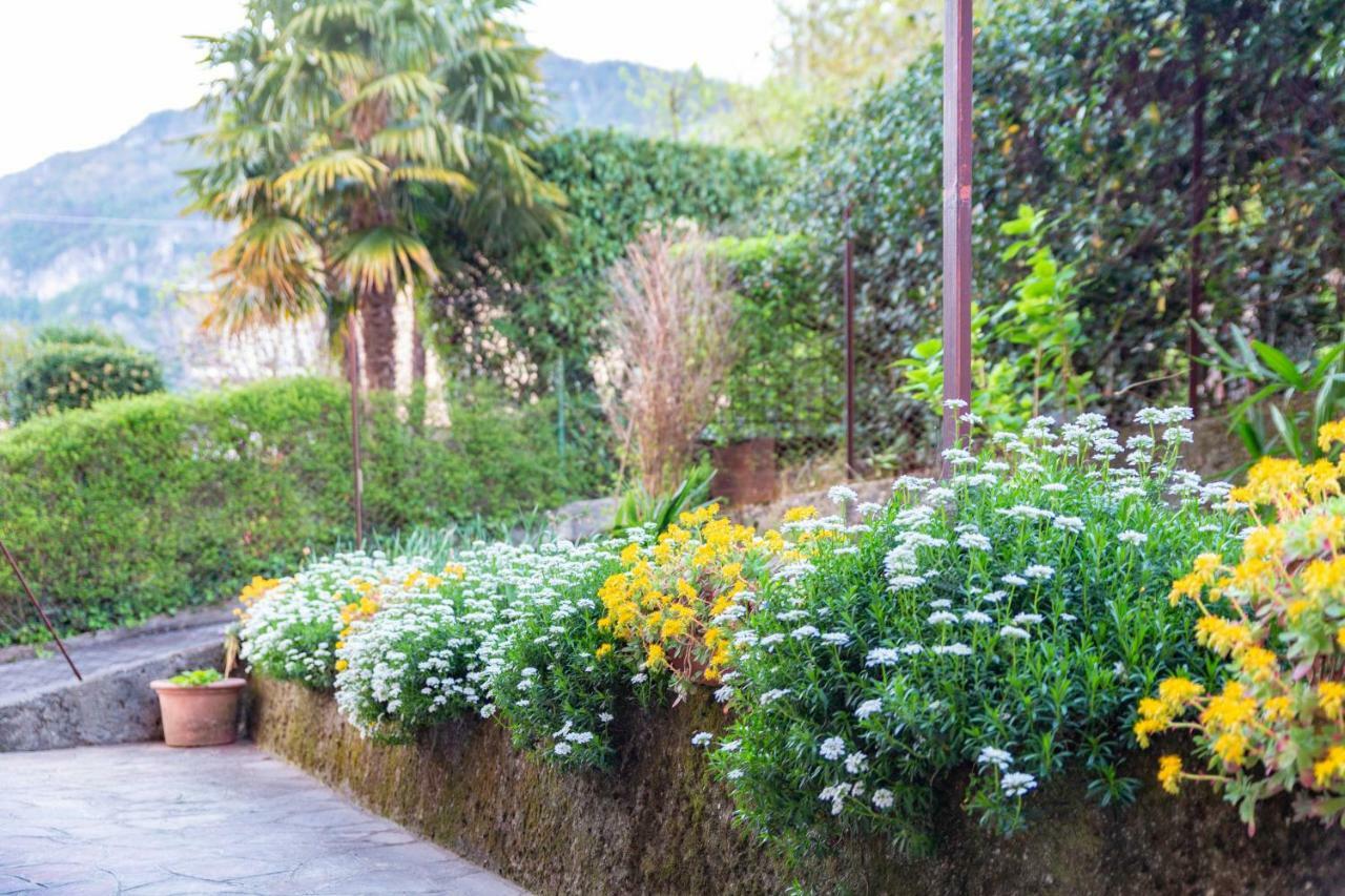 リエルナ Casa Giuliaヴィラ エクステリア 写真